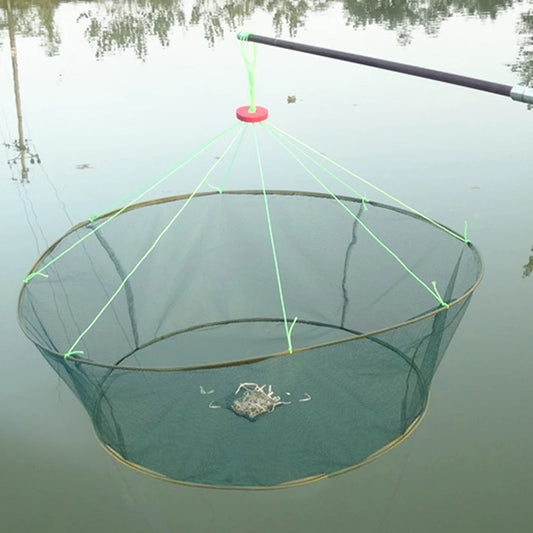 Foldable Crayfish & Shrimp Catcher Tank  /  Portable Prawn, Bait, Crab, & Shrimp Net  /  Crab & Shrimp Trap /  Cage for Catching Fish.  Shrimp. &  Crab